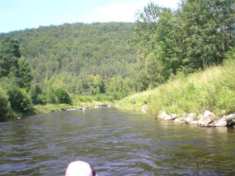 Pod Dobršínem, Wolfino